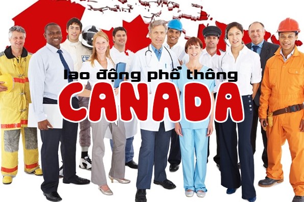 Canada tuyển dụng lao động phổ thông - Cơ hội sinh sống và làm việc...