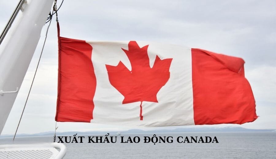 Xuất Khẩu Lao Động Canada 2024 từ A - Z: Tham Khảo Ngay! - Xuất Khẩu Lao  Động Việt Nam