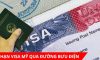 Cách gia hạn Visa Mỹ qua đường bưu điện một cách nhanh chóng